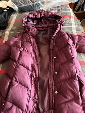 Tommy Hilfiger Quilted Puffer Jacket in Deep Wine